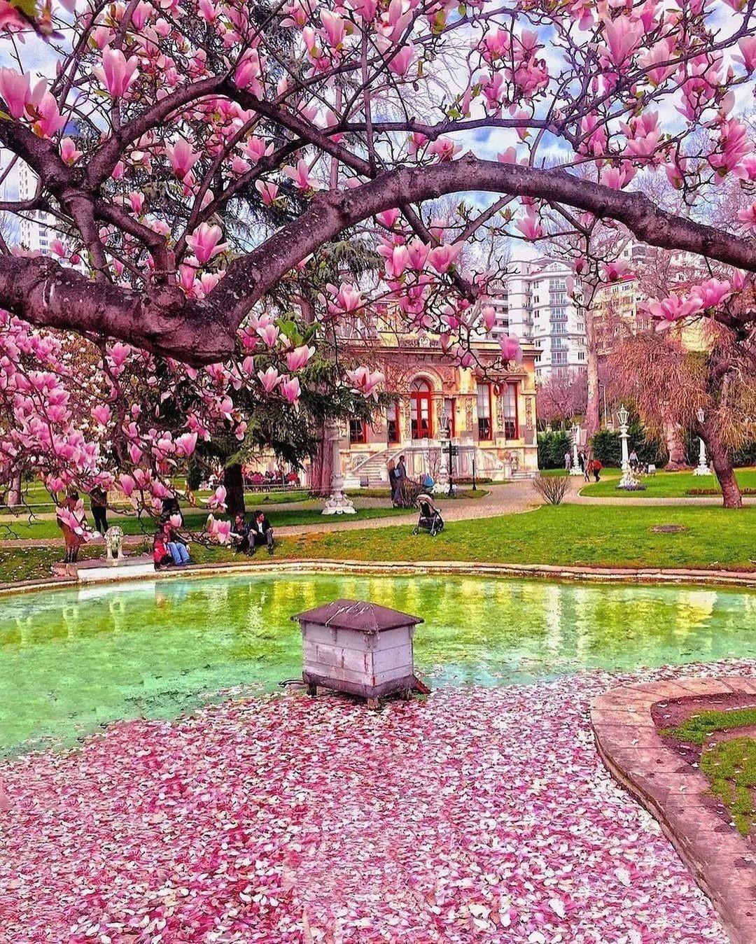 Istanbul Spring